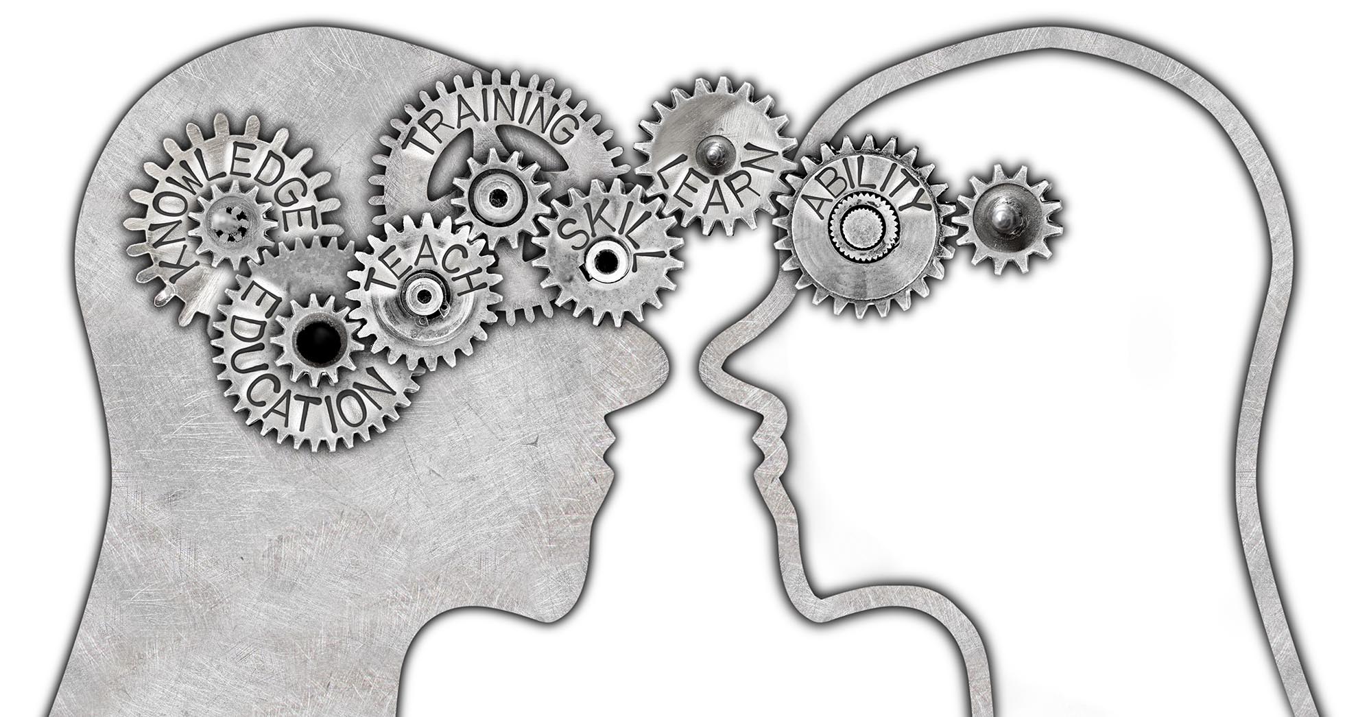 Head and Wheels Concept Head silhouette and tooth wheels with knowledge transfer and education concept related words imprinted on metal surface isolated on white