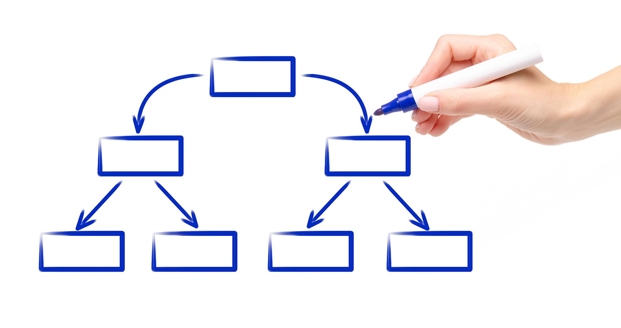 Hand marker drawing diagram scheme empty flow chart isolated on