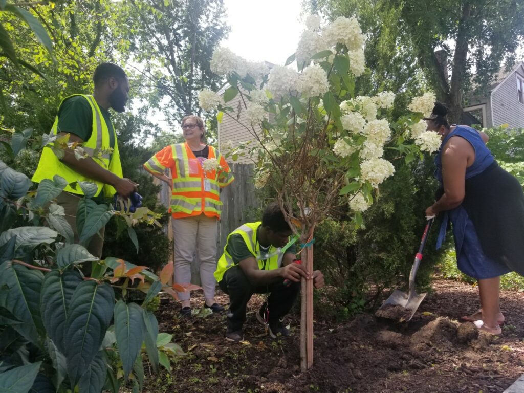 Program participants may learn skills including the basics of landscaping, horticulture, and installation of streetscape and pedestrian enhancements.